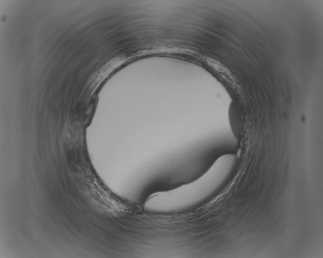 X0000081501177200702100048