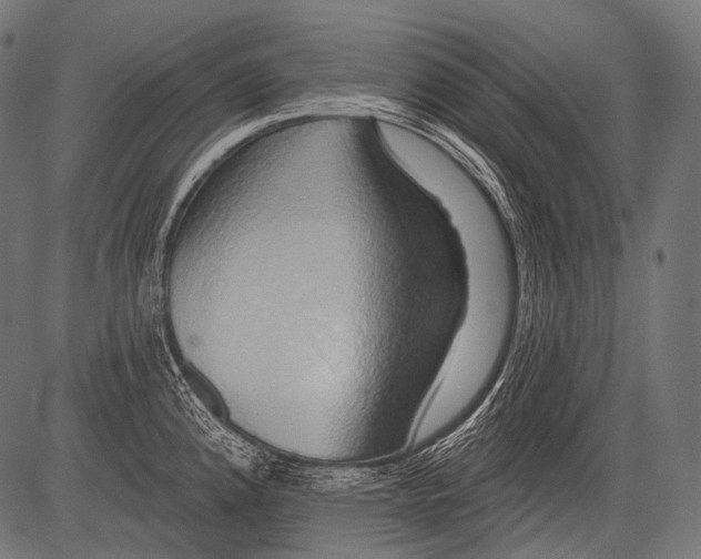X0000081501192200702100048