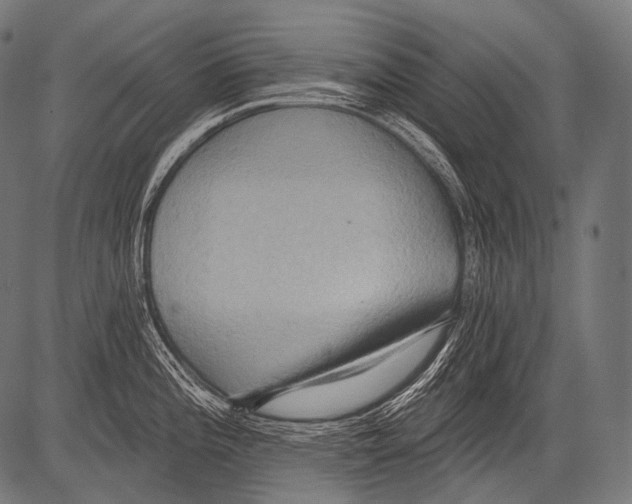 X0000081501196200702100048