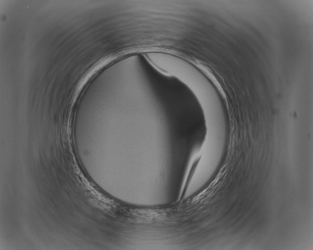 X0000081501197200702100048