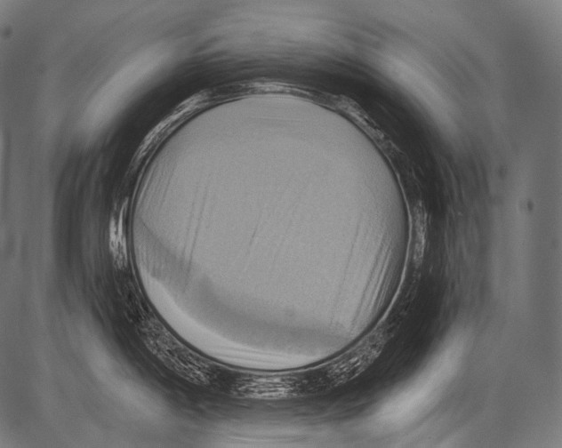 X0000081501198200702100048
