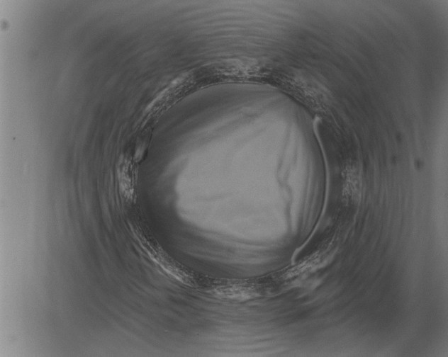 X0000081501202200702100047