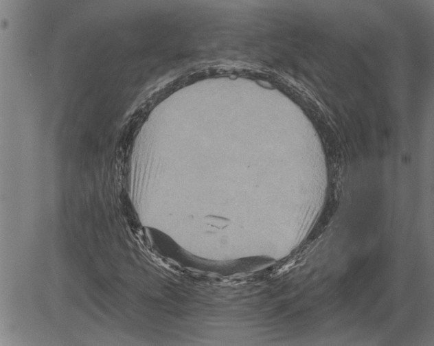 X0000081501207200702100047