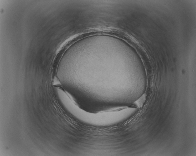 X0000081501214200702100047