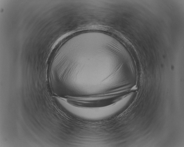 X0000081501222200702100047