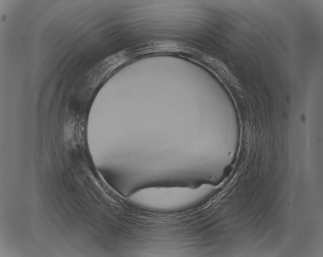 X0000081501225200702100047