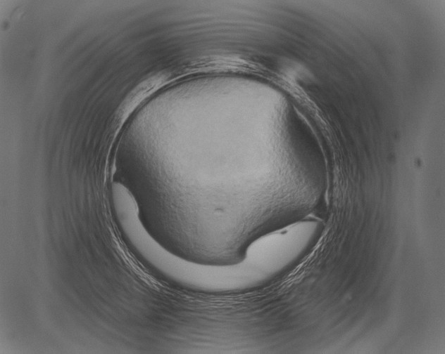 X0000081501234200702100047
