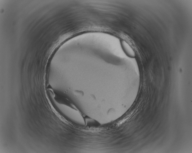 X0000081501237200702100047