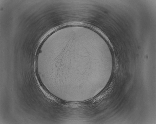 X0000081501245200702100047
