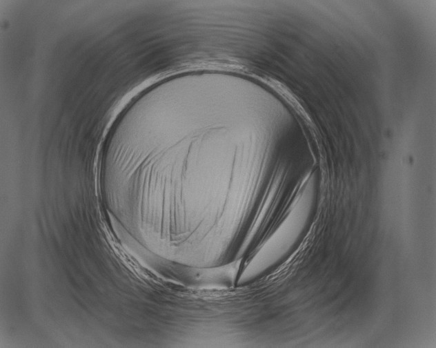 X0000081501246200702100048