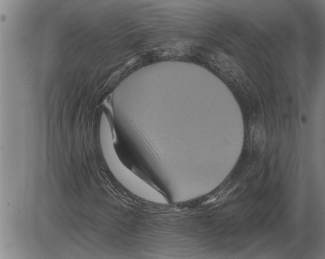 X0000081501250200702100047