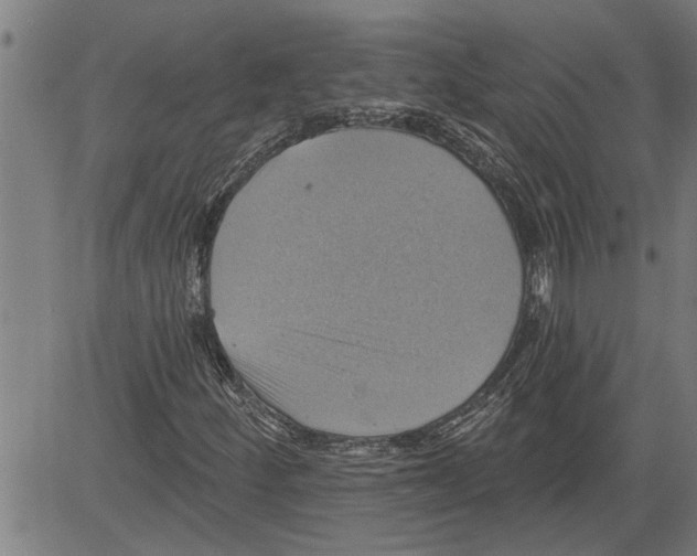 X0000081501252200702100047
