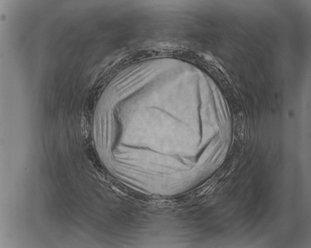 X0000081501253200702100047