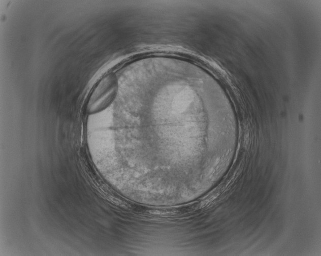 X0000081501271200702100046