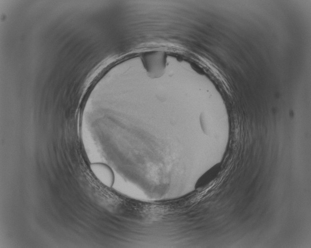 X0000081501275200702100046