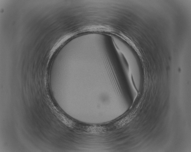 X0000081501277200702100046