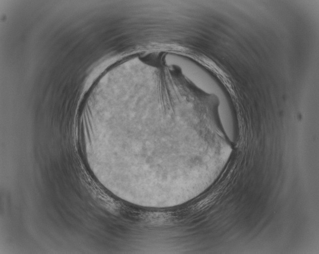 X0000081501280200702100046