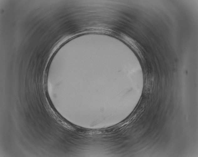 X0000081501291200702100046