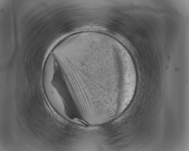 X0000081501296200702100046