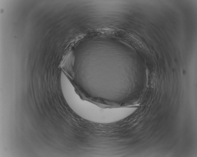 X0000081501298200702100045