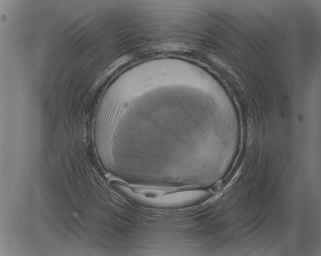 X0000081501305200702100045