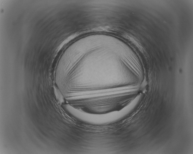 X0000081501308200702100045