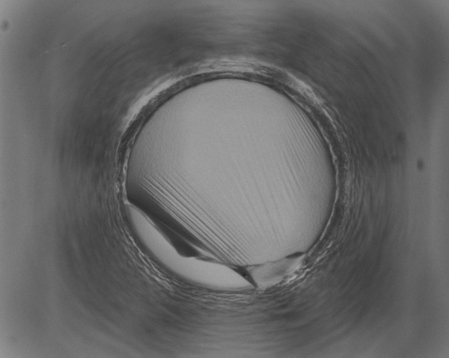 X0000081501312200702100045