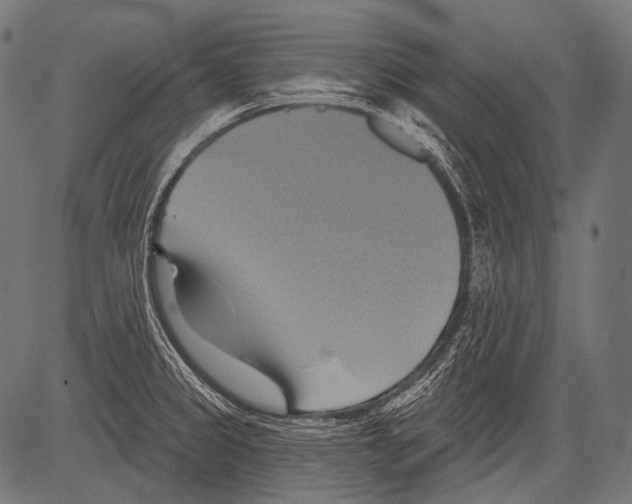 X0000081501333200702100046