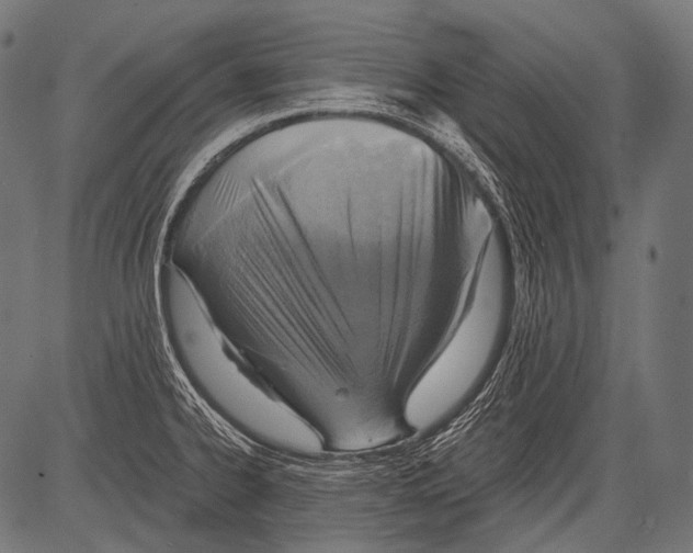 X0000081501334200702100046