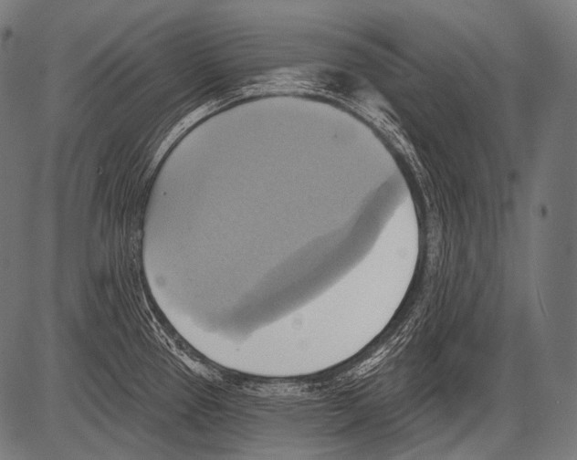 X0000081501337200702100046