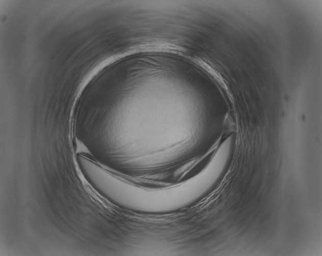 X0000081501342200702100046