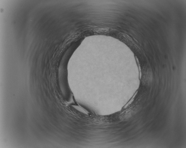 X0000081501345200702100045