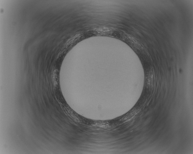 X0000081501346200702100045