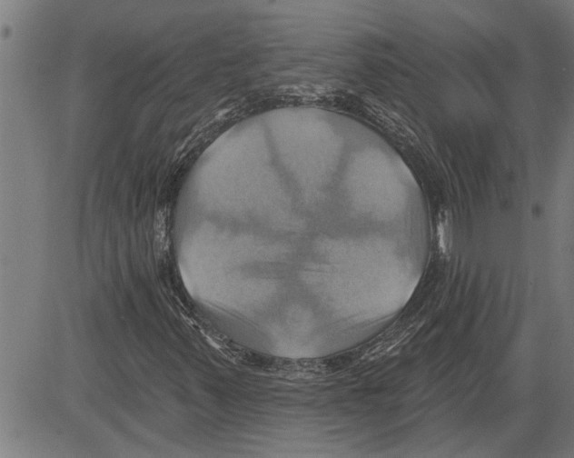 X0000081501347200702100045