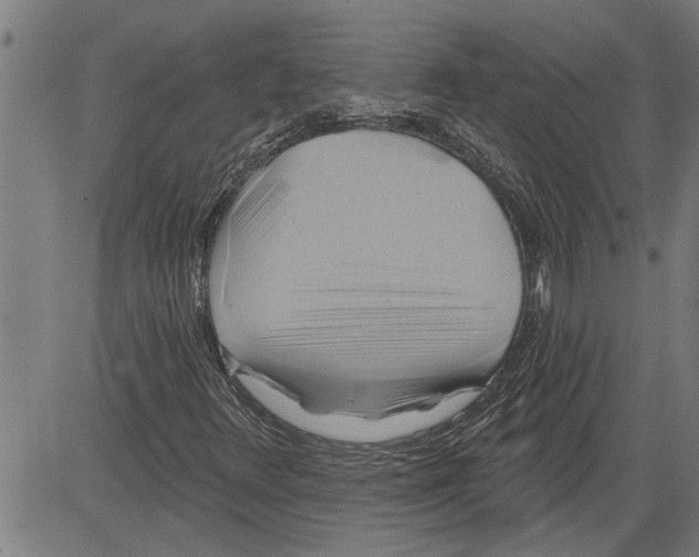 X0000081501348200702100045