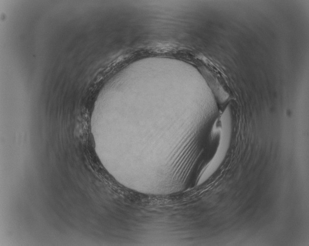 X0000081501349200702100045