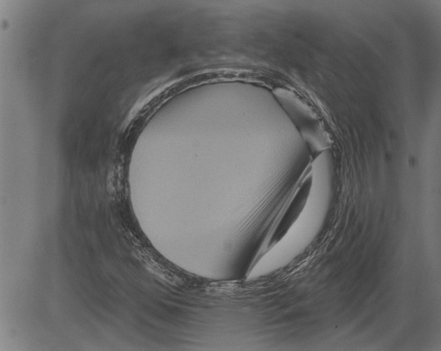 X0000081501352200702100045