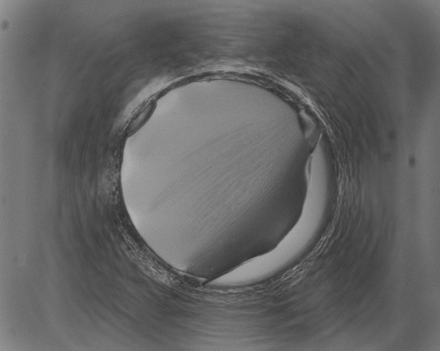 X0000081501359200702100045