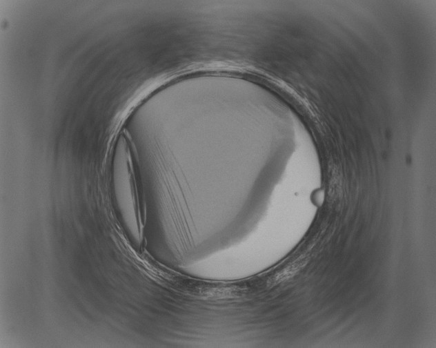 X0000081501367200702100045