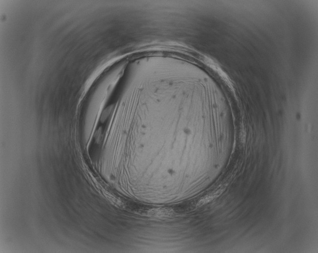 X0000081501368200702100045