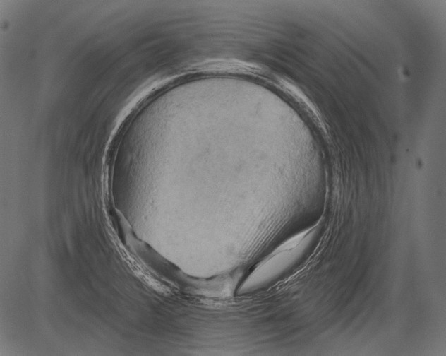 X0000081501376200702100045