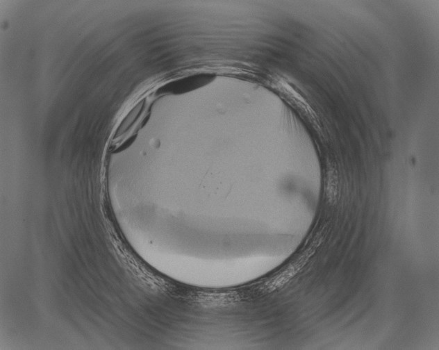 X0000081501378200702100045