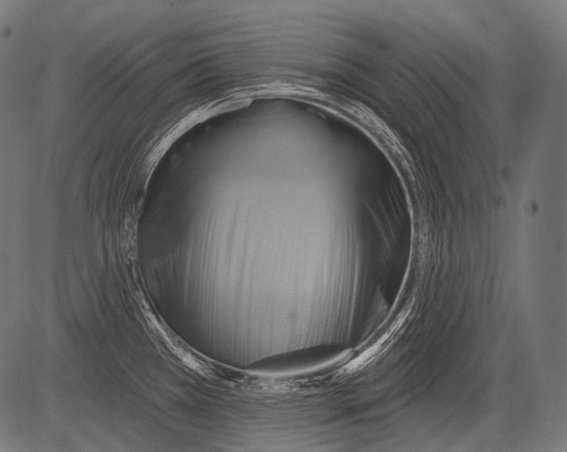 X0000081501385200702100045