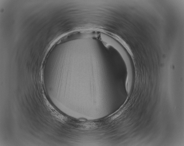 X0000081501388200702100045