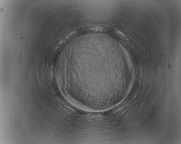 X0000081501394200702100044