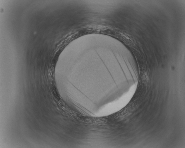 X0000081501397200702100044
