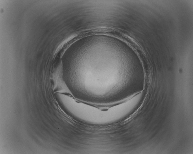 X0000081501402200702100044