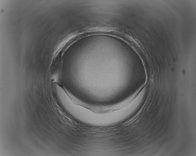 X0000081501406200702100044
