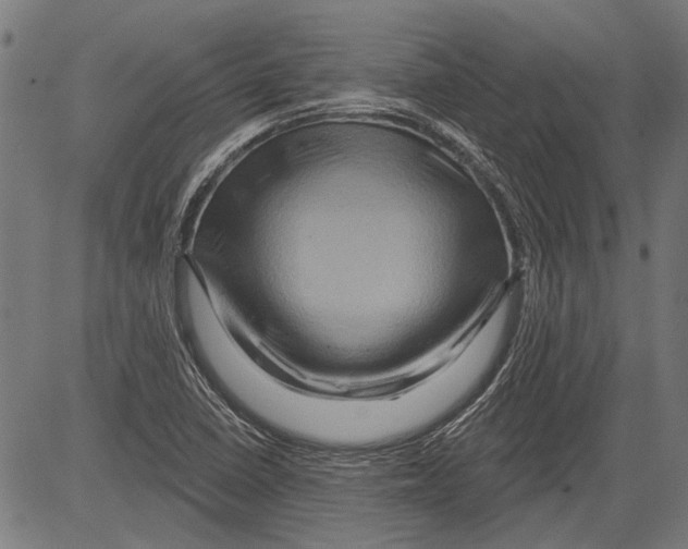 X0000081501410200702100044