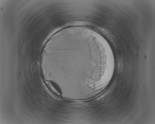 X0000081501417200702100044